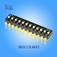 DSIC-DIP-2.54mm-[1-12P]-滑动